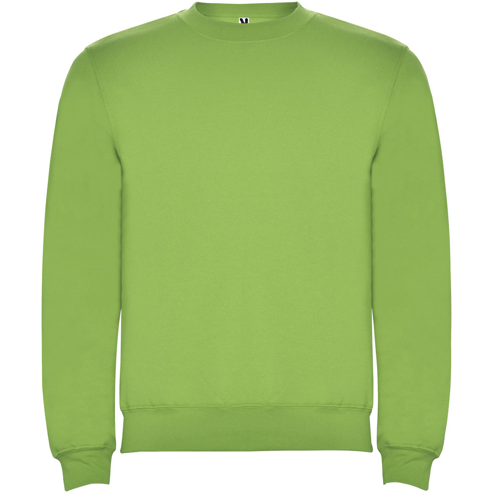 Maglione a girocollo unisex Clasica - Verde oasi