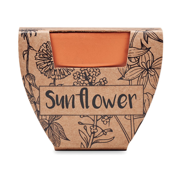 SUNFLOWER - Semi di girasole