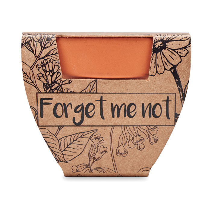 FORGET ME NOT - Semi di non ti scordar di me