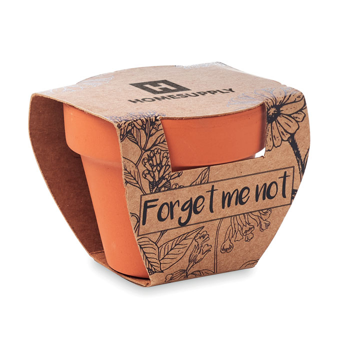 FORGET ME NOT - Semi di non ti scordar di me