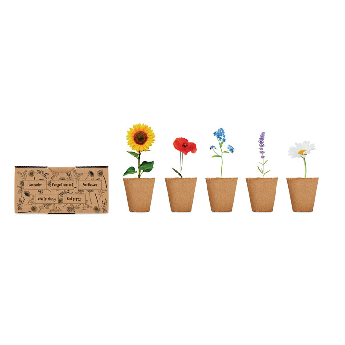 FLOWERS - Kit per coltivare fiori