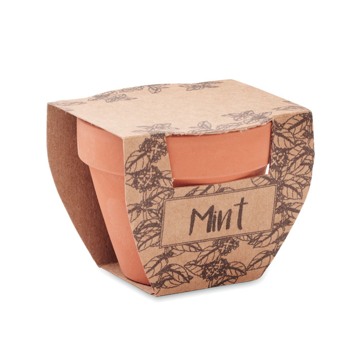 MINT POT - Semi di menta in vaso