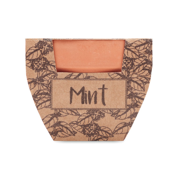 MINT POT - Semi di menta in vaso