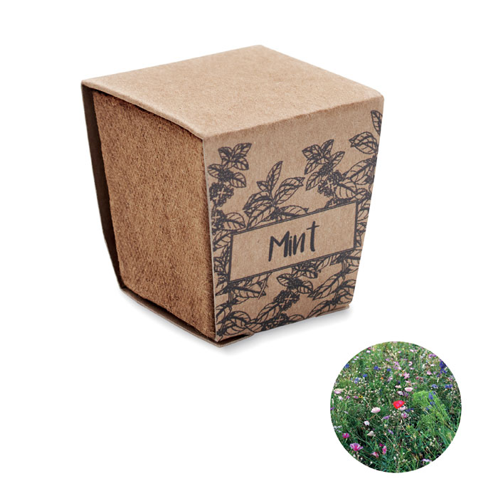 MINT KIT - Kit per la coltivazione di semi