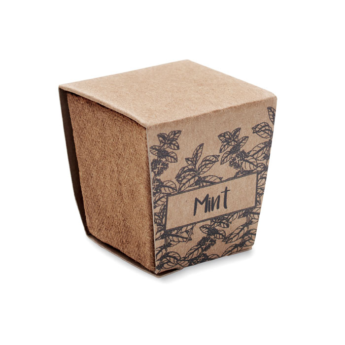 MINT KIT - Kit per la coltivazione di semi