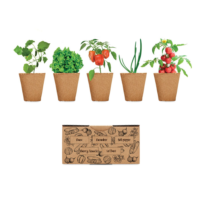 SALAD - Kit per coltivare insalata