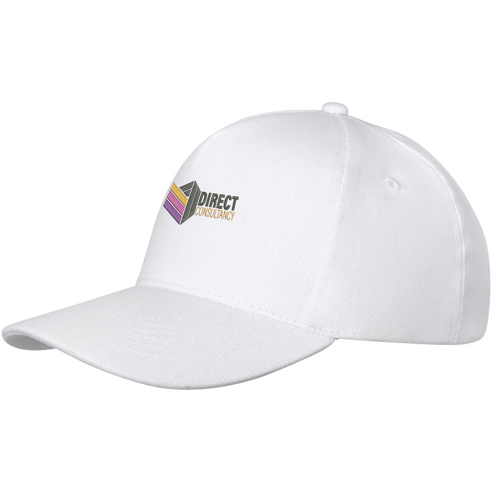 Cappellino a 5 pannelli da 260 g/m² Doyle